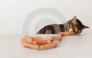 Hungry cat steals sausage on table