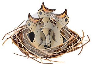Hungry chirping bird chicks at nest vector drawing on isolated white background photo