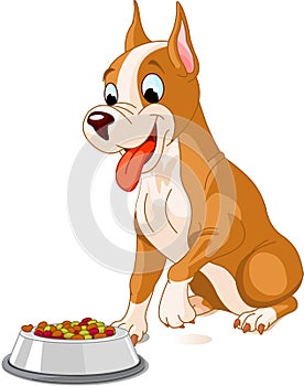 Hungry dog