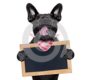 Hungry dog with blackboard