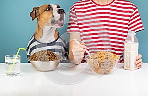 Hungry dog and human having breakfast together. Minimalistic ill