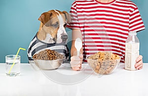 Hungry dog and human having breakfast together. Minimalistic ill