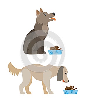 Hungry Dog, Purebred Pet Eating Food, Doggy Vector