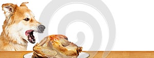 Hungry Dog Stealing Turkey Web Banner