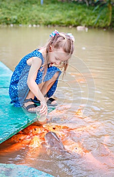 Hungry gold asian fish eats food from bottle in the pond. little beautiful girl feeds fish