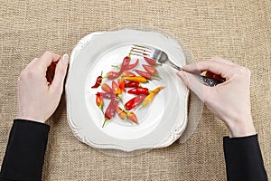 Hungry woman eating red hot chili peppers. Symbol of adapting to