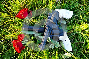 Hungs and roses on green grass photo