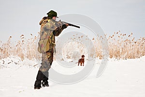 Cazador apuntar sobre el carino. caza el perro espera 