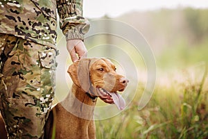 Cacciatore il cane sul foresta 