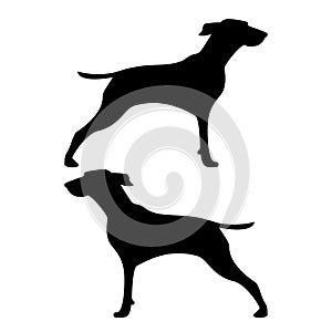 Hunter dog or gundog icon black color illustration flat style simple image