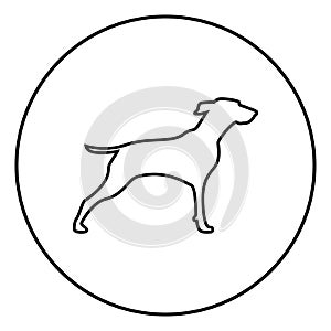 Hunter dog or gundog icon black color vector illustration simple image