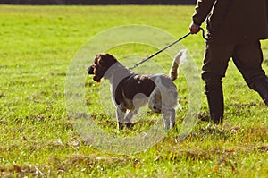 Cacciatore il suo il cane 