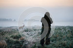 Hunter holding a rifle and aiming red deer, hunter photoshooting.