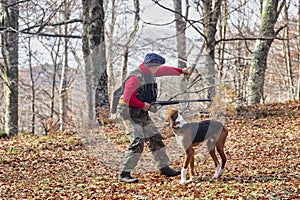 Hunter and hunting dog chasing in the forest