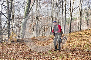 Hunter and hunting dog chasing in the forest