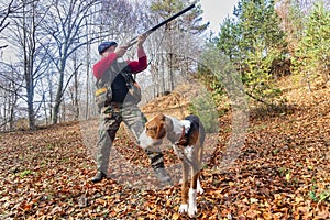 Hunter and hunting dog chasing in the forest