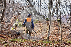 Hunter and hunting dog chasing in the forest