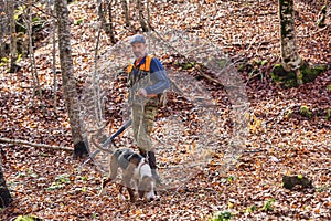 Hunter and hunting dog chasing in the forest