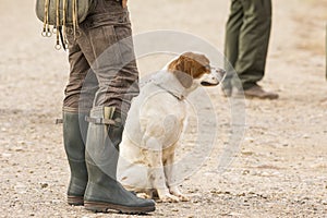 Hunter hunting with dogs in nature