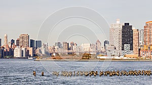 Hunter`s Point South in Long Island City photo