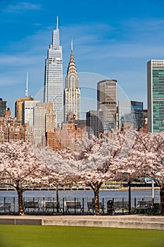 Hunter\'s Point South Park in Long Island City. Spring view on Manhattan skyscrapers from Queens, New York City photo