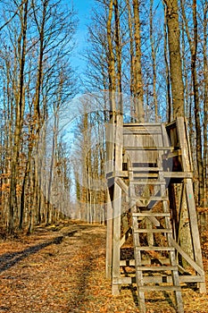 Hunter`s stand in the autumn forest