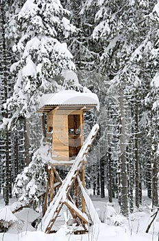 Hunter's stand in the winter forest