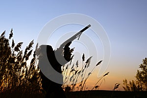 Hunter silhouette at sunset