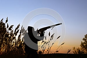 Hunter silhouette at sunset