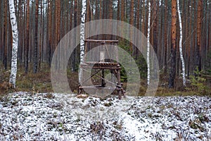 Hunter stand on the edge of the forest, Spring season