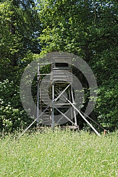Hunter stand in green summer forest, Germany