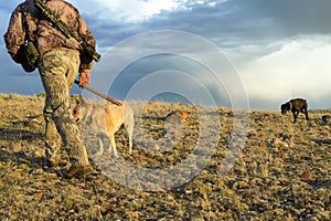 Hunter and tracking dogs hiking in desert scene