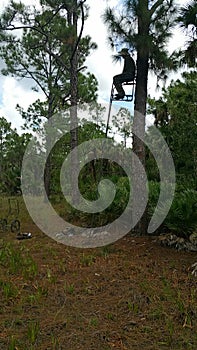 Hunter in tree stand
