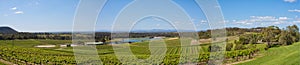 Hunter Valley Australia, Vineyards panorama