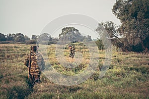 Hunters crossing through tall grass in rural field during hunting season