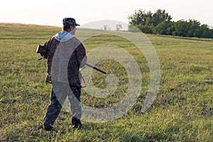 Hunters with a gun and german drathaar. Pigeon hunting with dogs.s