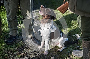 Hunters with hunting dog talk and relax