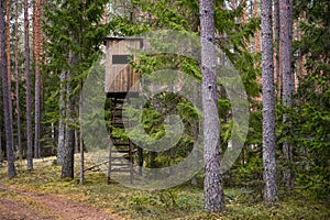 Hunters hut in the forest. Hunter tower or watch post in the wilderness. Elevated wooden structure