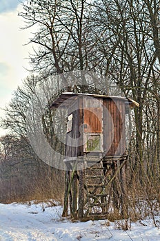 Hunters offside on a field in winter forest