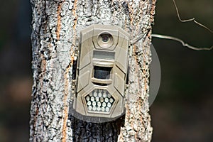 Hunters trail camera on tree