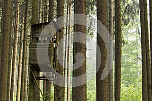 Hunting or birdwatching tower in the woods