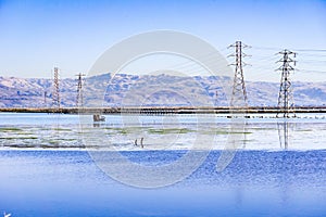 Hunting blind and electricity power lines, Moffett trail, south San Francisco bay, California