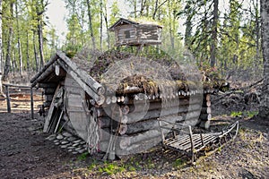 Hunting cabin in forest