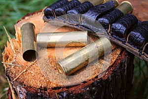 The hunting cartridges with on a stub photo