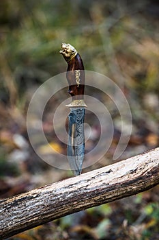 Hunting concept. Hunting knife stabbed into log. photo