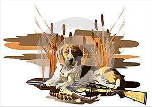 Hunting dog. (Vector)