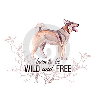 Hunting dog vector design object. Wild and Free slogan