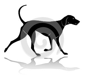 Hunting dog walking silhouette