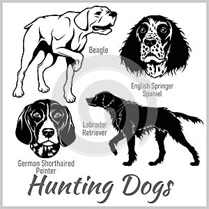 Hunting dogs collection isolated on white. Vector illustration