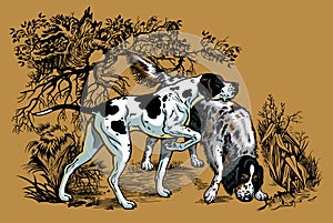 Hunting dogs in forest illustration